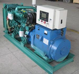 新津发电机出租